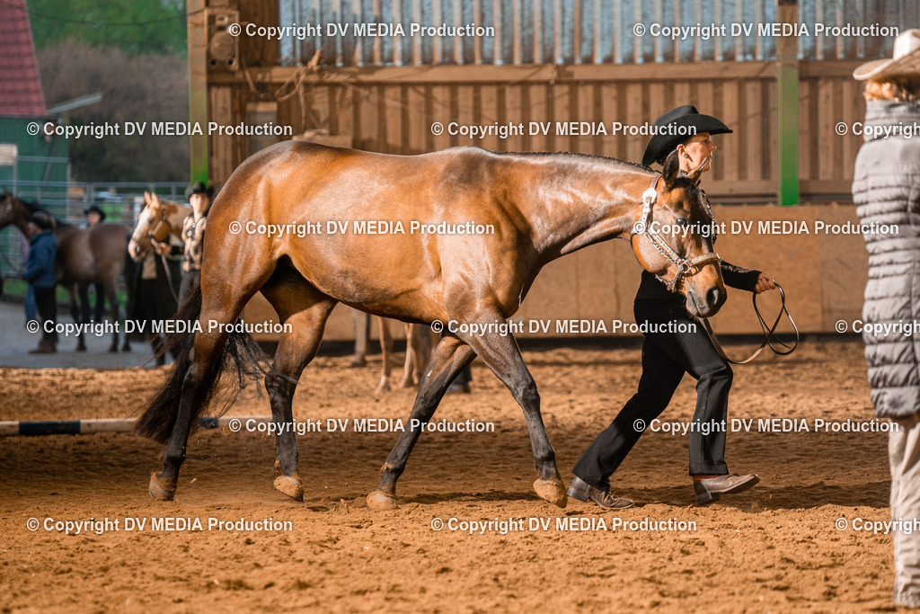 BAL01189 | dv-media-shop - Realisiert mit Pictrs.com