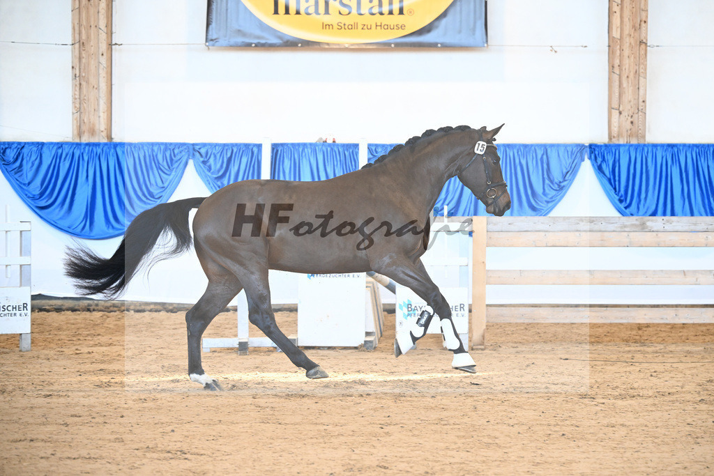 Kat-Nr. 15 Eric v. Eichsfelder_Rogge_8260346 | hf-fotografie - Realizzato con Pictrs.com