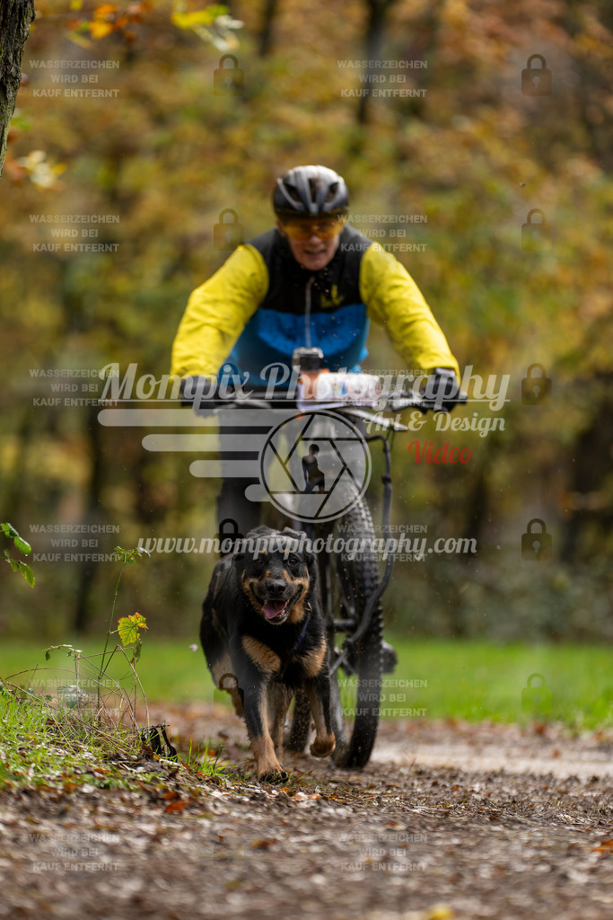 MompixPhotography_Bischwiller23_Bike-15 | PayLife