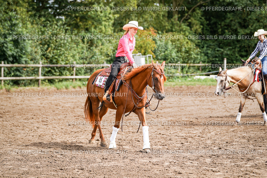 DSC08452 | Pferdegrafie