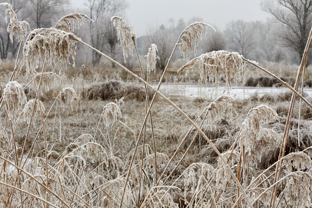 Gezuckert | Ich erzähle Geschichten als Autor und als Fotograf. Hier finden Sie hochwertige Naturfotografie, Reisefotografien und Bilder aus dem urbanen Lebensraum.  - Realisiert mit Pictrs.com