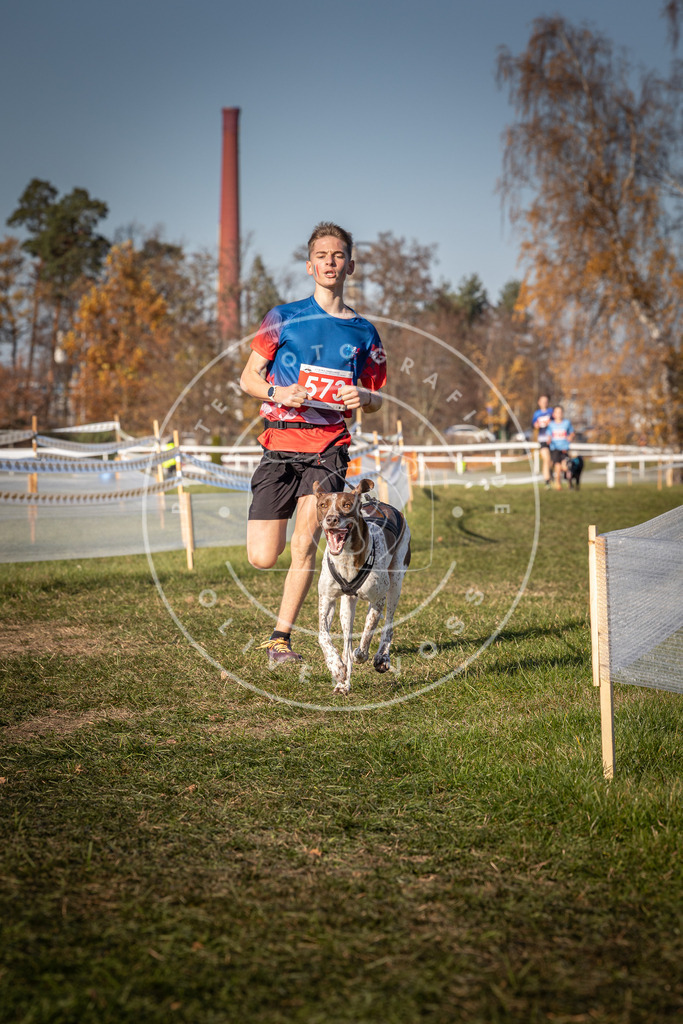 CaniXpix_0L8A8032 | Hundefotografie, Tierfotograf, Pfotenfotografie, Fotoshooting Hund, Hunde Portrait, Hundesport, Hundeportraits, Heideshooting, Hunde, Sportfotograf, Hundefotograf, Turnierhundsport, THS,  - Realisiert mit Pictrs.com