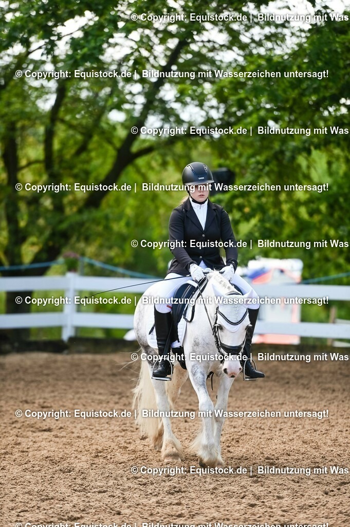 20230716_04_Dressurreiterprüfung Kl.A_0418 | equistock