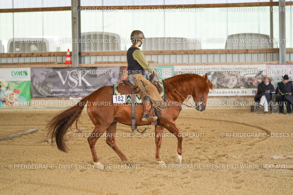 DSC06011 | Pferdegrafie