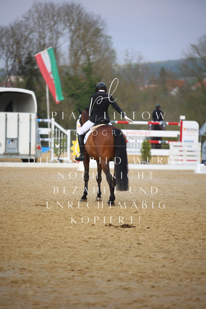 IMGT8151 | pl-fotografie