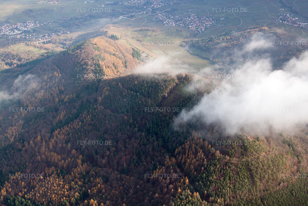 Luftbild: Hohenberg in Annweiler am Trifels im Bundesland Rheinland-Pfalz in Deutschland. Foto: IMG_61197.jpg vom 30.11.2013 durch Werner Riehm/FLY-FOTO.de