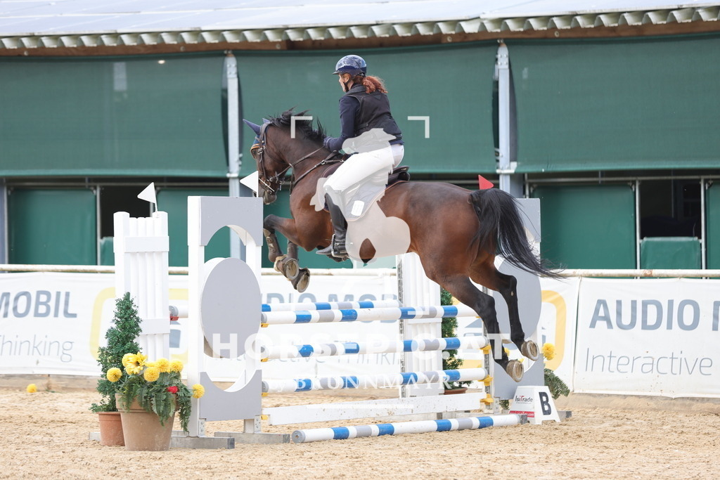 0P6A3379 | Willkommen bei Brunnmayr - Design & Fotografie – Ihrem Spezialisten für Reitturniere und Pferdeveranstaltungen in Oberösterreich, Salzburg und Bayern! Seit über 17 Jahren sind wir leidenschaftlich dabei.