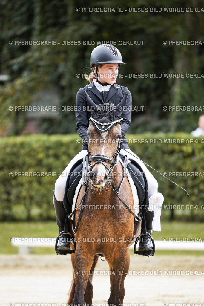 DSC04986 | Pferdegrafie