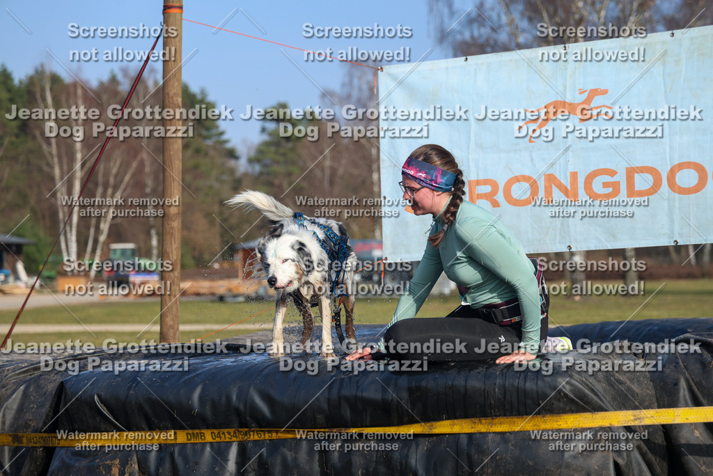 Dog Paparazzi - Strongdog North Mrz26-3478 | Dog Paparazzi Jeanette Grottendiek Fotografie & Videografie - Realisiert mit Pictrs.com