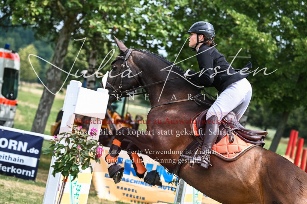 DSC_8294 | Pferde- und Turnierfotografie in Westsachsen. Pferdeportraits, Auftragszeichnungen und intuitive Kunst.