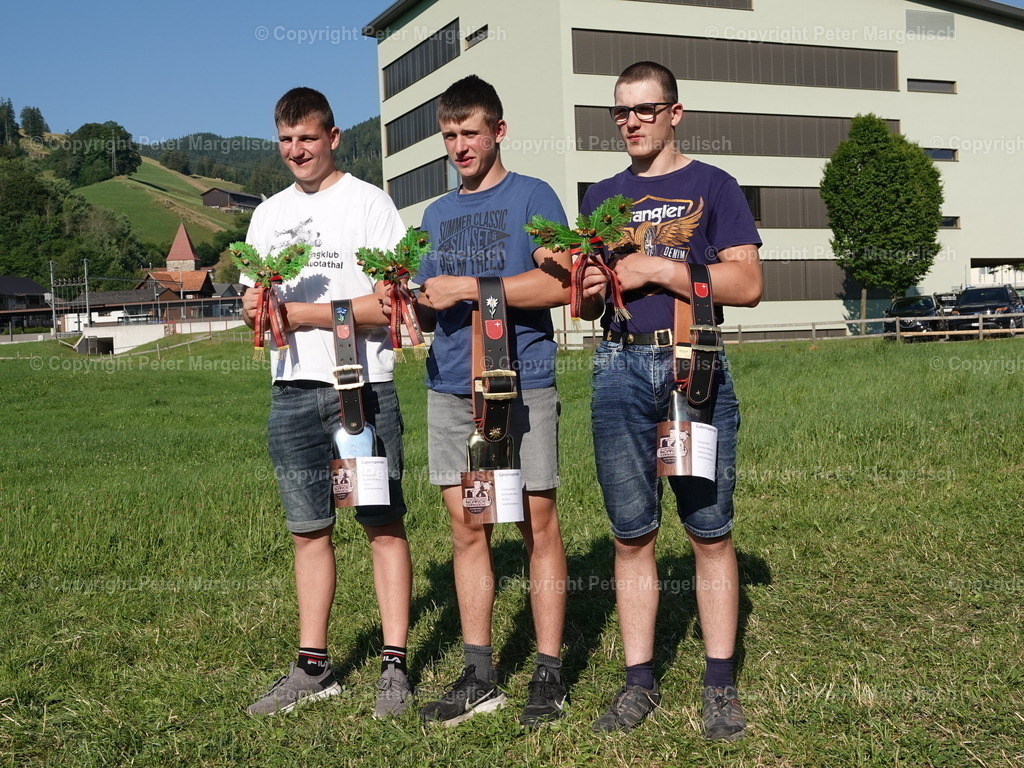 DSC04795 | Schwingen - Realisiert mit Pictrs.com