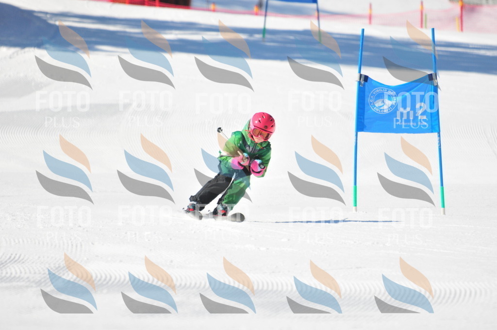 C2764 | holidayphoto