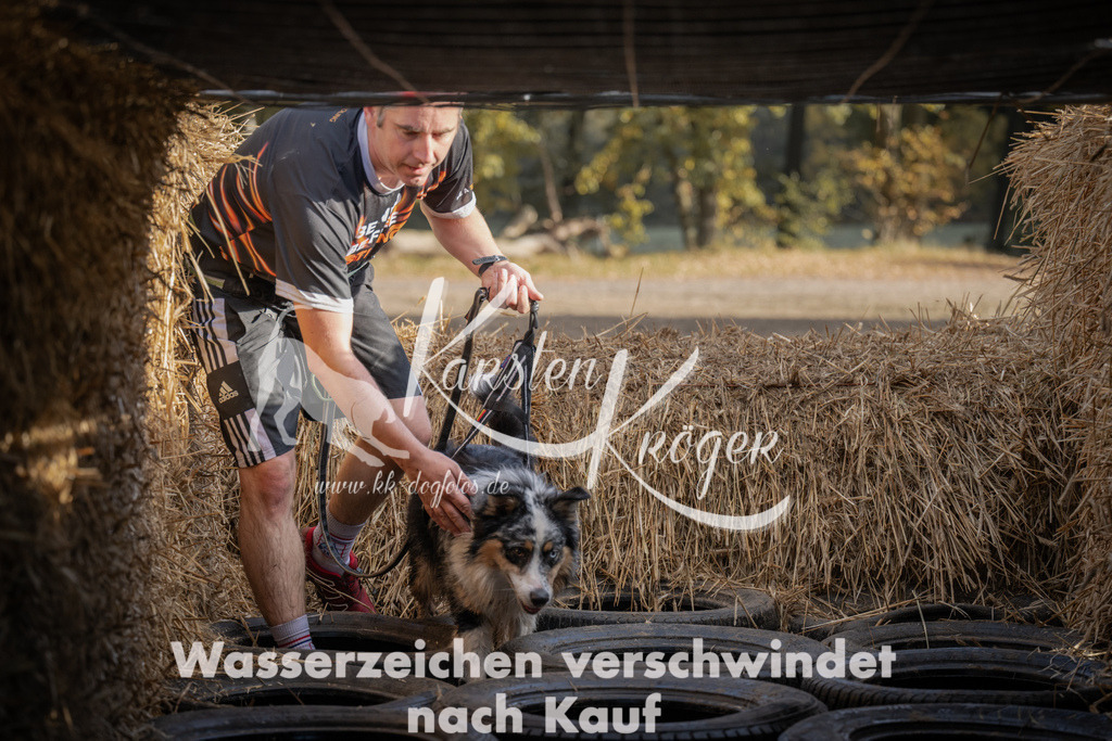 1034_ZZ98761 | kk-dogfotos