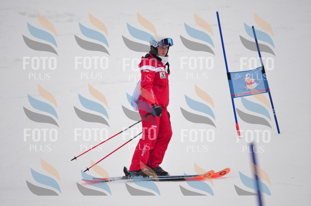 C0255 | holidayphoto