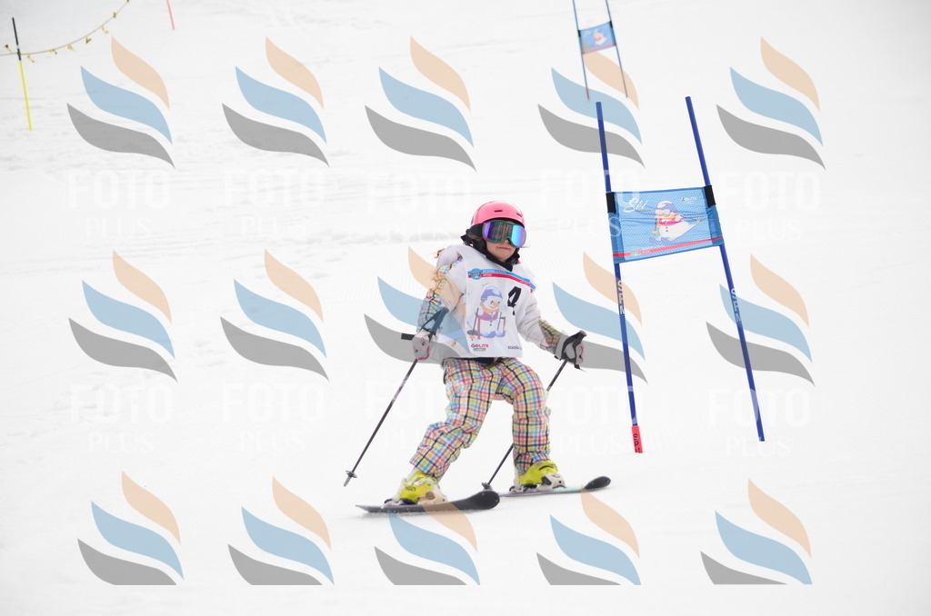 B9698 | holidayphoto