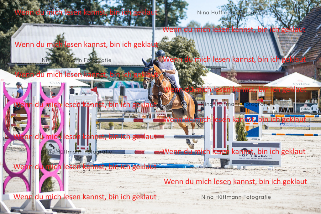 BK1A6575 | Turnierbilder Turnierfotos Nina Hüffmann Turnierfotografie Pferdefotografie Tierzeichnung Haustierzeichnung Pferdezeichnung Hundezeichnung Videograf  - Realisiert mit Pictrs.com