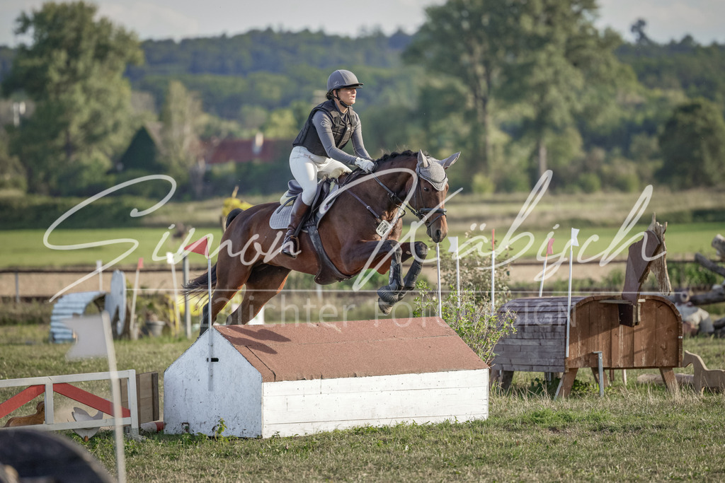 20250906-_3LI7854 | Tierfotografie Pferde, Hunde, Katzen, Haustiere.
Turnierfotografie Reitturniere, Reiten, Springreiten, Dressur in Hanau, dem Main-Kinzig-Kreis und dem Rhein-Main- Gebiet um Frankfurt