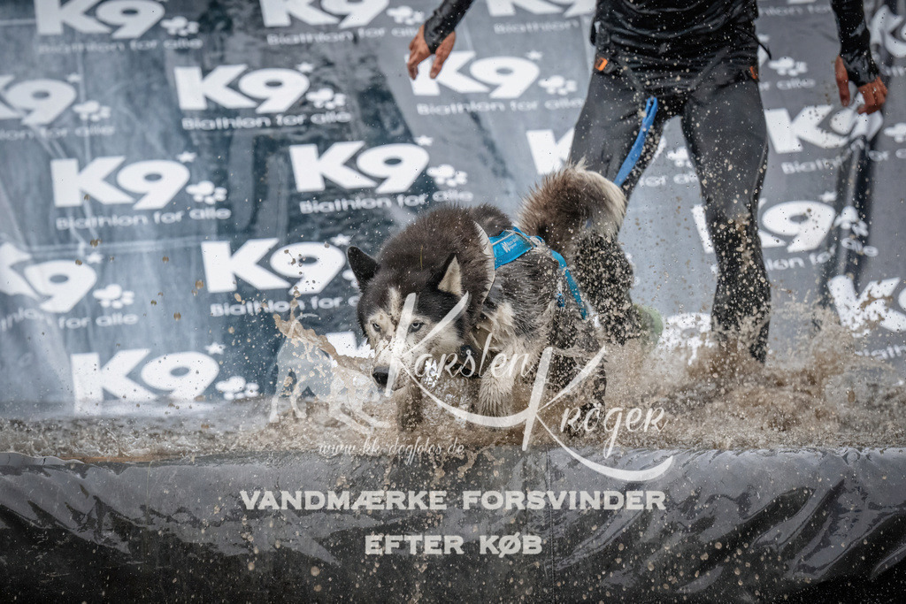 1058_ZZ91282 | kk-dogfotos