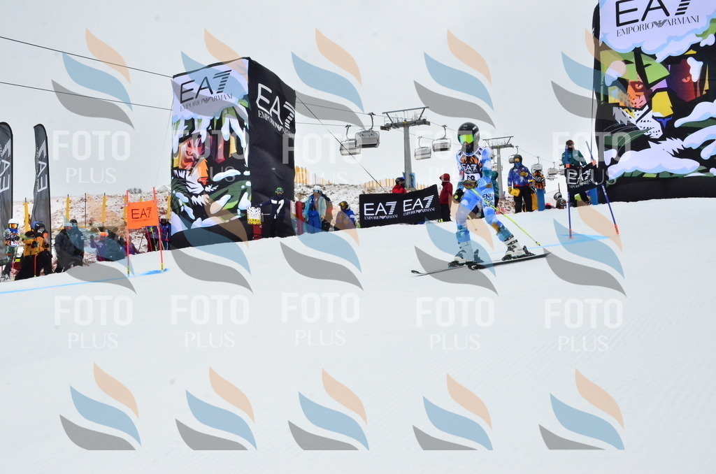 _ELE3441 | holidayphoto