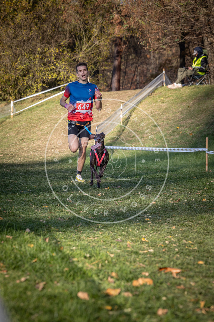 CaniXpix_0L8A9083 | Hundefotografie, Tierfotograf, Pfotenfotografie, Fotoshooting Hund, Hunde Portrait, Hundesport, Hundeportraits, Heideshooting, Hunde, Sportfotograf, Hundefotograf, Turnierhundsport, THS,  - Realisiert mit Pictrs.com