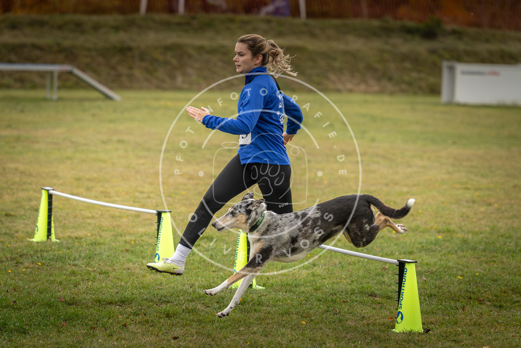 Pfotenfotografie_DV3A2849 | Hundefotografie, Tierfotograf, Pfotenfotografie, Fotoshooting Hund, Hunde Portrait, Hundesport, Hundeportraits, Heideshooting, Hunde, Sportfotograf, Hundefotograf, Turnierhundsport, THS,  - Realisiert mit Pictrs.com