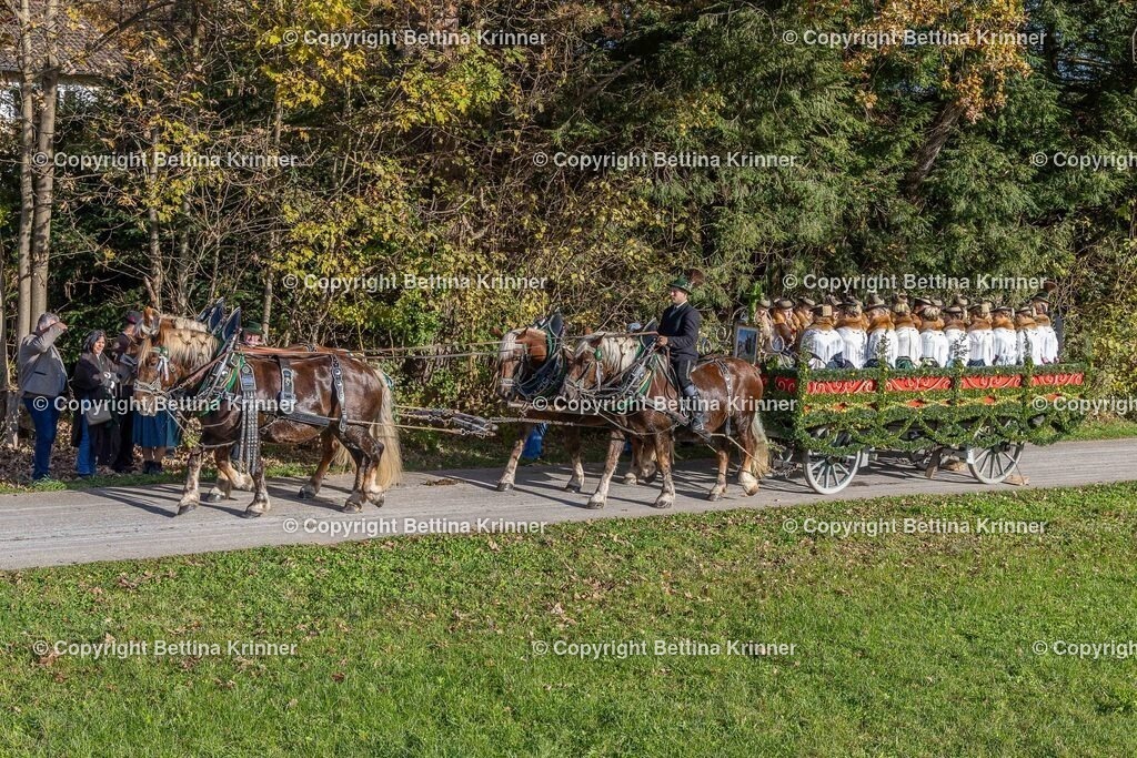 LBT24-323 | foto-bettina-krinner - Realisiert mit Pictrs.com