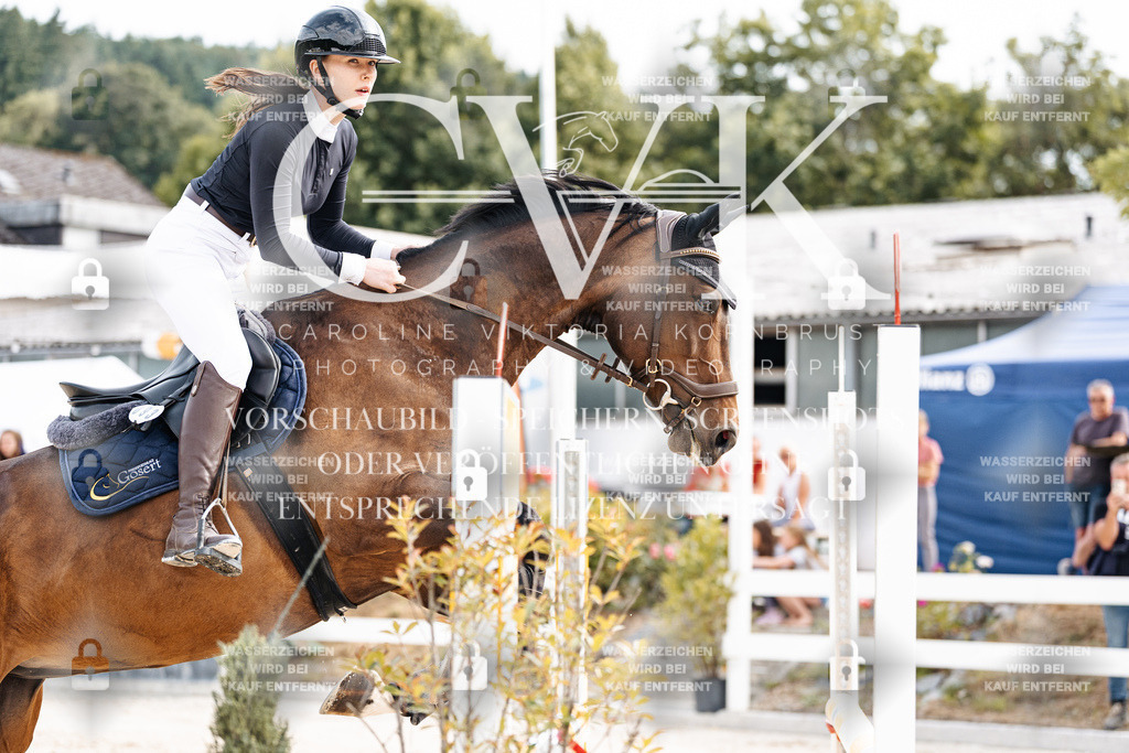 CK902179 | Turnierfotografie Pferdefotografie Trier Rheinland-Pfalz Pferdesport Reitsport Tierfotografie Sportfotografie Pferdevideo Pferdevideografie Equestrianvideography equestrianphotography  - Realisiert mit Pictrs.com