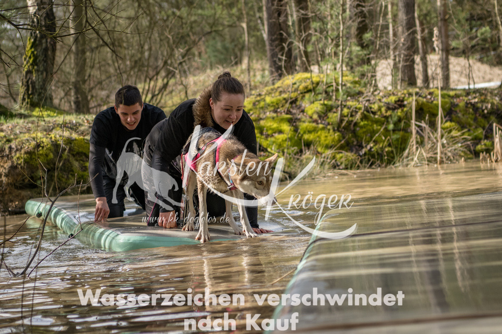 1004_ZZ92410 | kk-dogfotos
