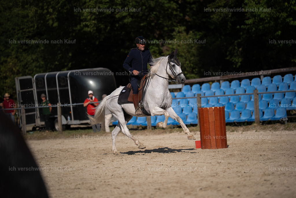 WS_SP_49_Stoibphotography_SO11880 | working equitationturnier fotograf videograf stoibphotography marixx film working equitation deutschland reitsport turnierfotografie eventfotografie equestrian events