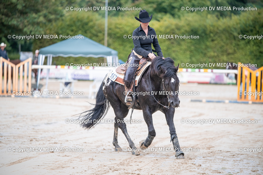 ZS2_4414 | dv-media-shop - Realisiert mit Pictrs.com