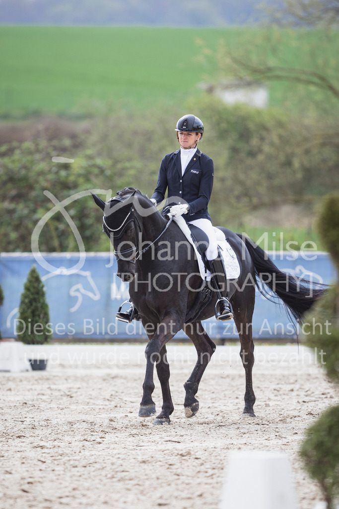 250416_Dressurpferde-L-205 | Deine schönsten Turniermomente als professionelle Fotos! Entdecke hochwertige Pferdesport-Fotografie im Online-Shop. Jetzt Fotos finden & bestellen!