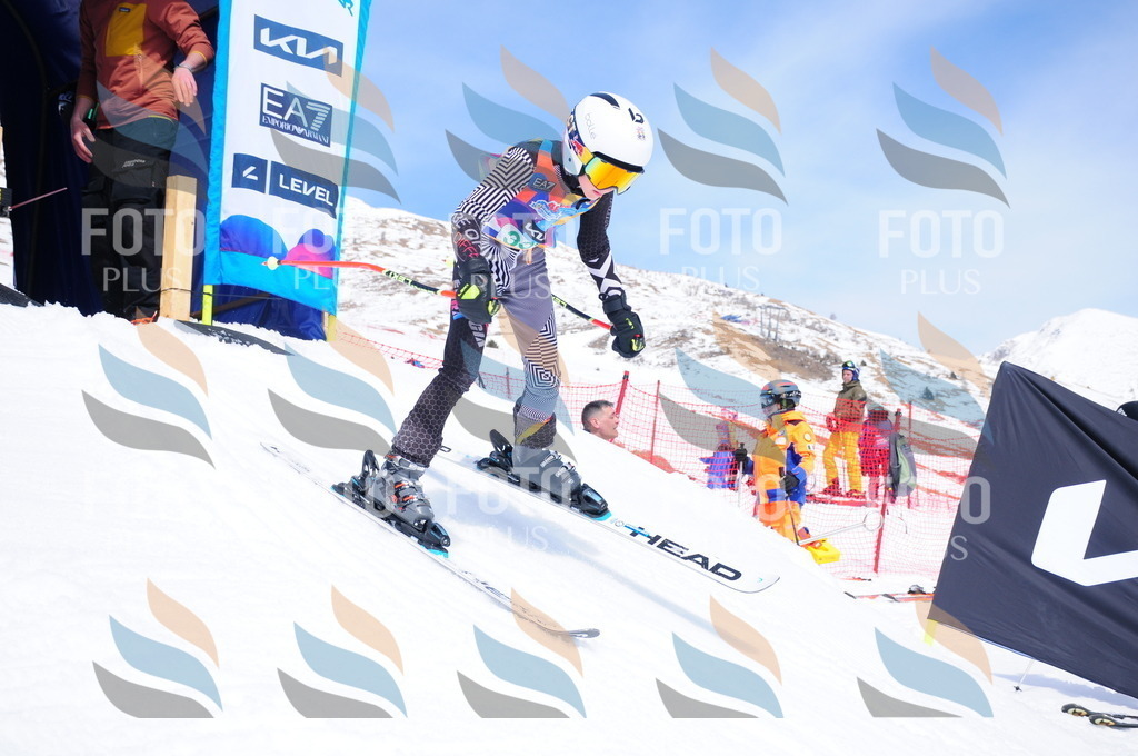 DSC_3451 | holidayphoto