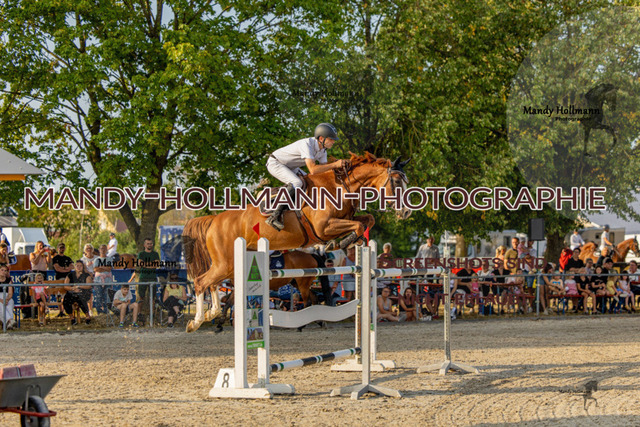 26-7-25 SPR S-55 | mandyhollmannphotographie