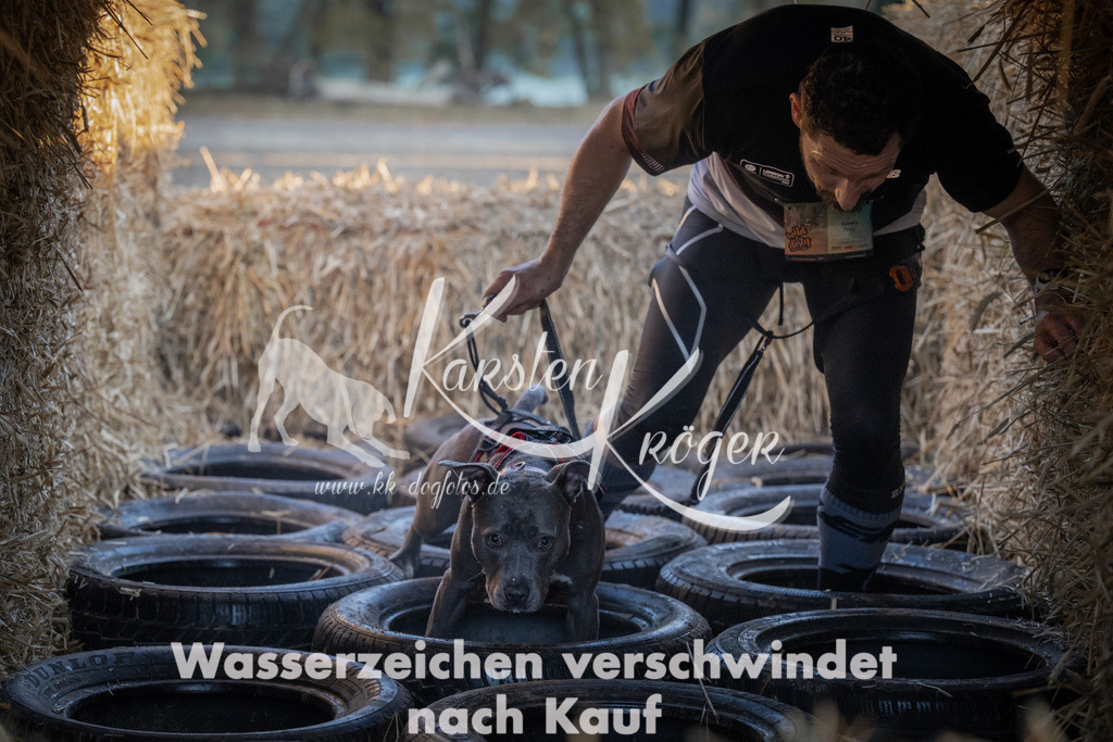 0931_ZZ93347 | kk-dogfotos