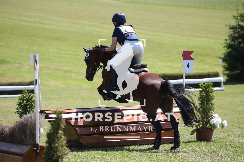 DL2Q0351 | Willkommen bei Brunnmayr - Design & Fotografie – Ihrem Spezialisten für Reitturniere und Pferdeveranstaltungen in Oberösterreich, Salzburg und Bayern! Seit über 17 Jahren sind wir leidenschaftlich dabei.