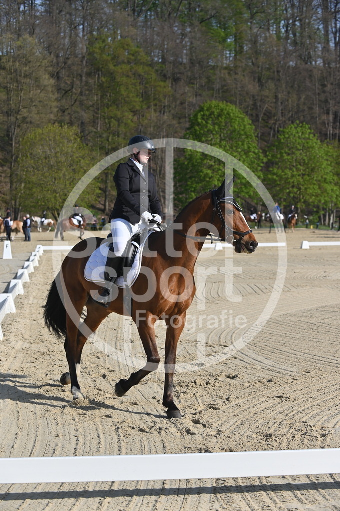 DSC_9959 | sattelsport - Realisiert mit Pictrs.com