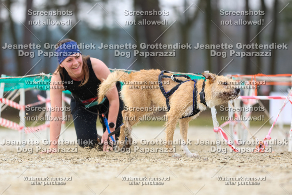 Dog Paparazzi - Strongdog North Mrz26-4102 | Dog Paparazzi Jeanette Grottendiek Fotografie & Videografie - Realisiert mit Pictrs.com