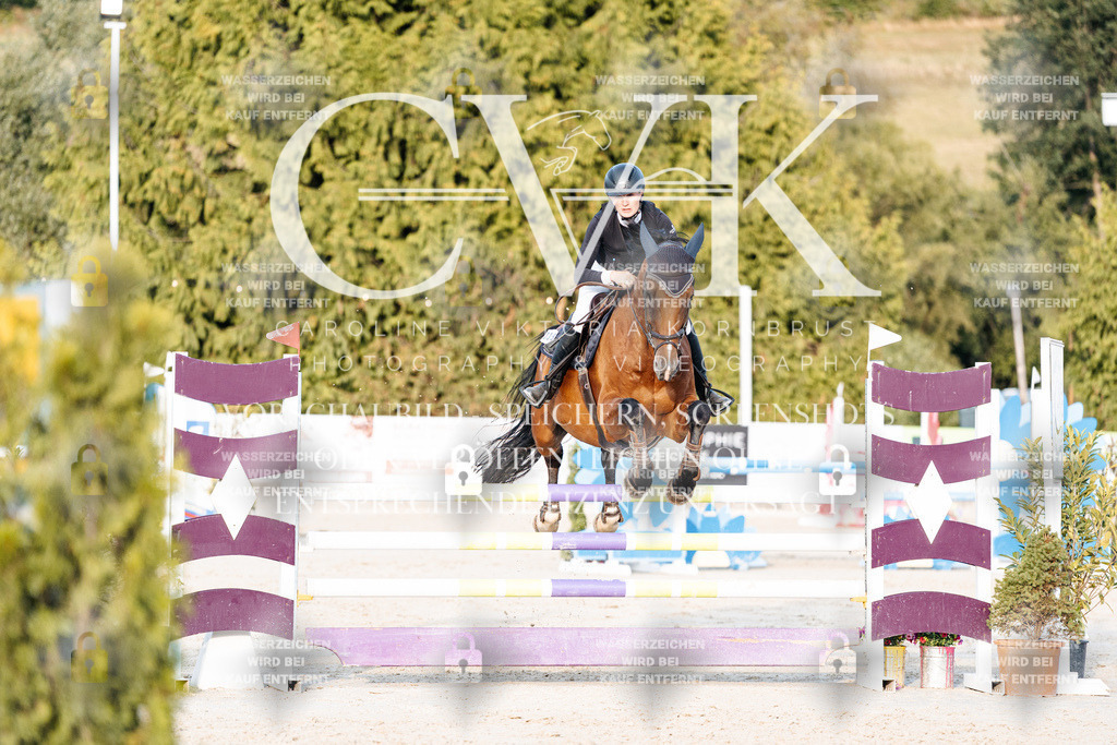 CK900905 | Turnierfotografie Pferdefotografie Trier Rheinland-Pfalz Pferdesport Reitsport Tierfotografie Sportfotografie Pferdevideo Pferdevideografie Equestrianvideography equestrianphotography  - Realisiert mit Pictrs.com