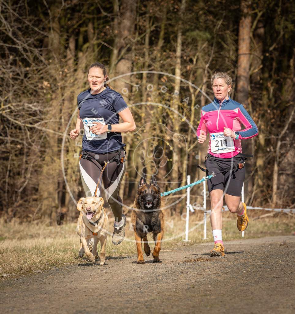 DV3A5778 | Hundefotografie, Tierfotograf, Pfotenfotografie, Fotoshooting Hund, Hunde Portrait, Hundesport, Hundeportraits, Heideshooting, Hunde, Sportfotograf, Hundefotograf, Turnierhundsport, THS,  - Realisiert mit Pictrs.com