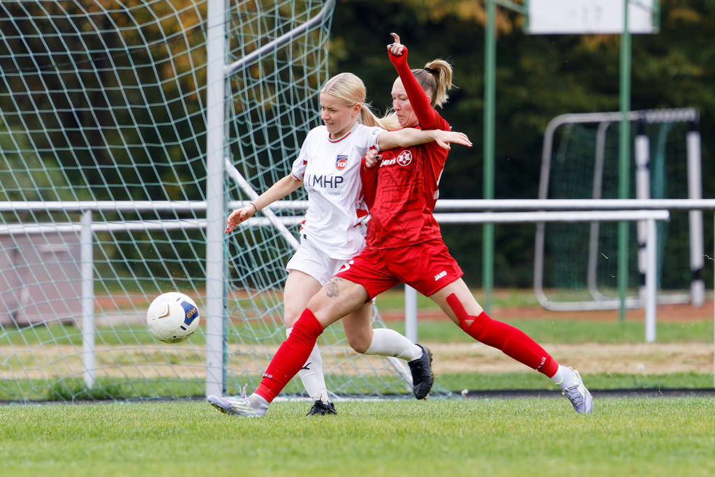 FCEFCH_251012_0699 | Fotopresso – Sportfotografie in Heidenheim & Umgebung. Professionelle Sportfotografie für unvergessliche Momente. Dynamische Action-Shots, emotionale Szenen & hochwertige Bilder. - Realisiert mit Pictrs.com