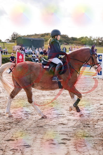 2026_10_03_Siefer-Hof_144439_Z81_18723949 | Professionelle Reitsport-, Turnier- und Eventfotografie von Robert Broda. Galerien mit ausgewählten und bearbeiteten Bildern direkt online ansehen und bestellen.