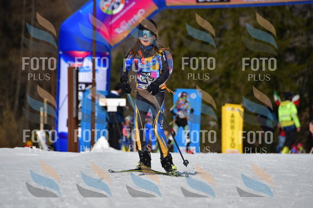 _DSC0031 | holidayphoto