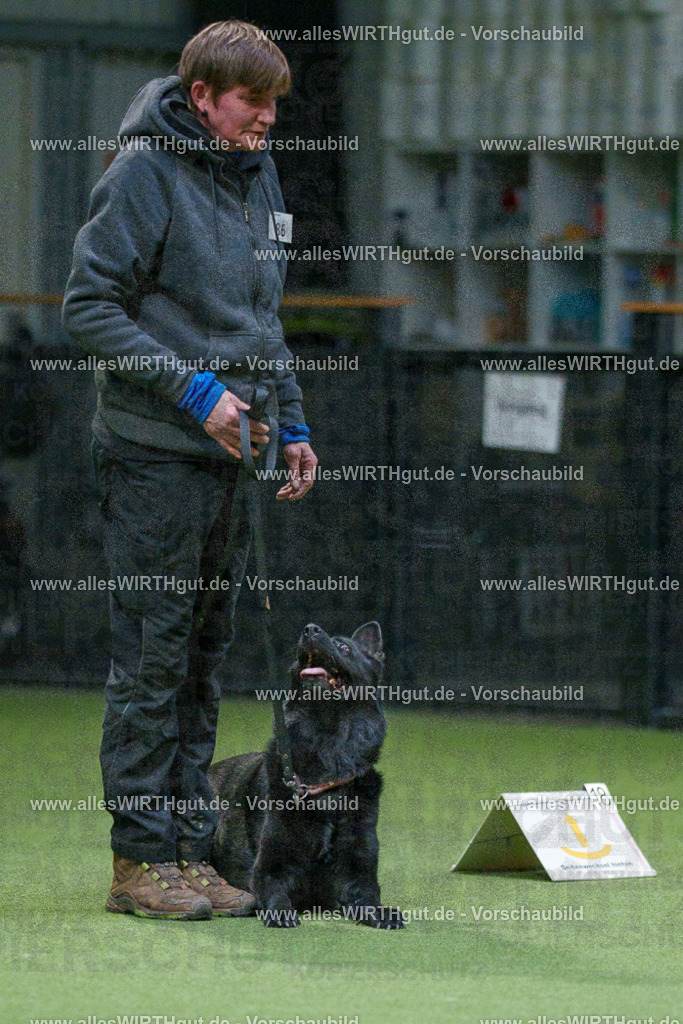 7R508128 | Professionelle Tierfotografie in Mönchengladbach von Daniel Wirth (allesWIRTHgut). Liebevolle & natürliche Bilder von Hunden & Katzen für unvergessliche Erinnerungen.