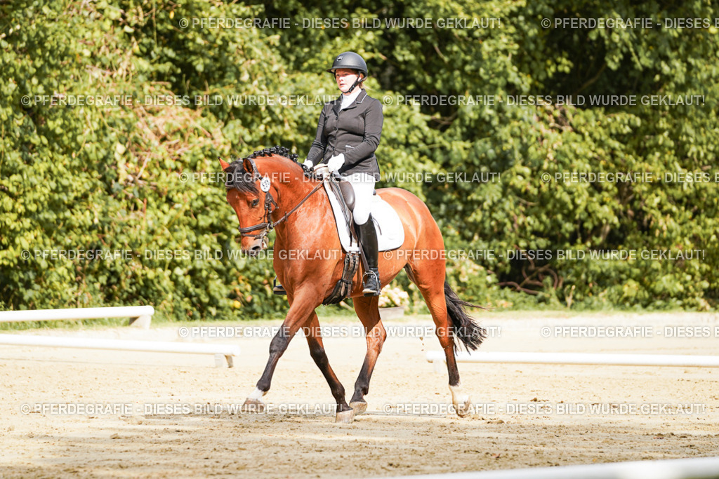 DSC02079 | Pferdegrafie