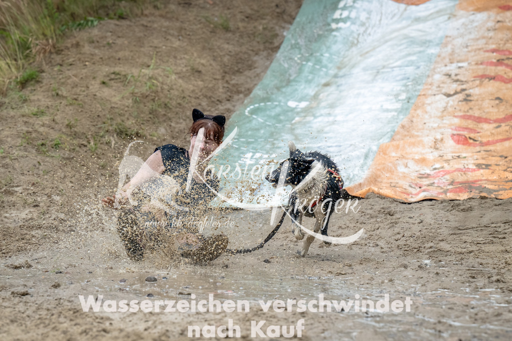 1215_ZZ91660-Bearbeitet | kk-dogfotos