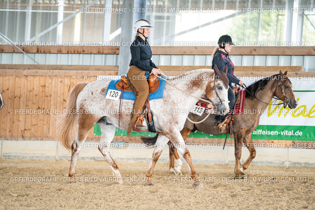 DSC08528 | Pferdegrafie