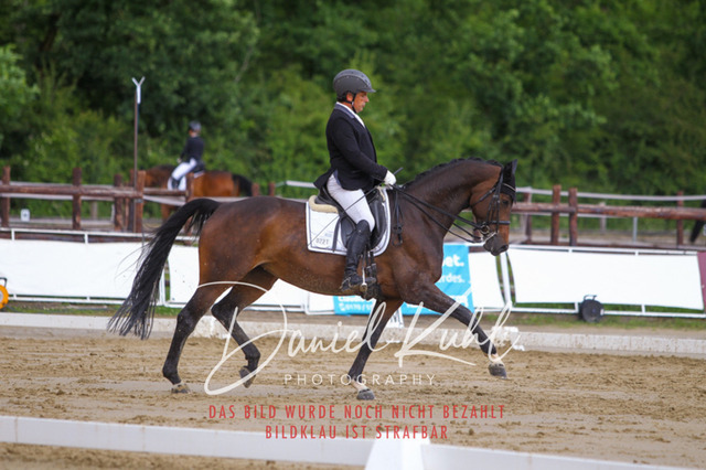 DKP40792 | Turniersportfotografie; Pferdefotografie; Dressurfotografie