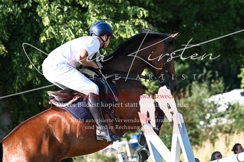 DSC_2741 | Pferde- und Turnierfotografie in Westsachsen. Pferdeportraits, Auftragszeichnungen und intuitive Kunst.