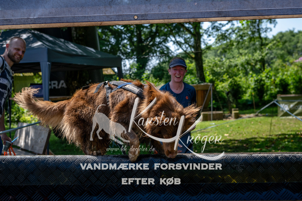 1247_ZZ92436 | kk-dogfotos