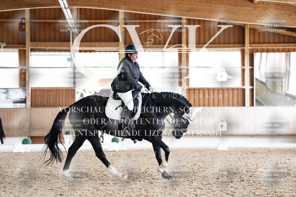 CK901189 | Turnierfotografie Pferdefotografie Trier Rheinland-Pfalz Pferdesport Reitsport Tierfotografie Sportfotografie Pferdevideo Pferdevideografie Equestrianvideography equestrianphotography  - Realisiert mit Pictrs.com